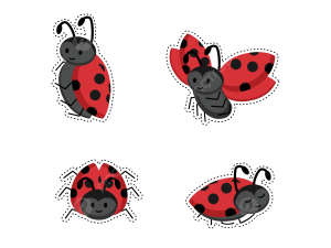 Lady Bug PNG Photo