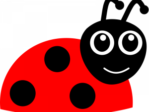 Lady Bug PNG Photos