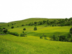 Landscape PNG Free Image