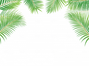 Leaves Border PNG Free Image