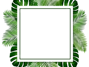 Leaves Border PNG HD Image