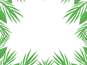 Leaves Border PNG Image HD