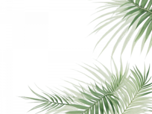 Leaves Border PNG Images HD