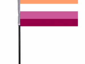 Lesbian Flag PNG Photo