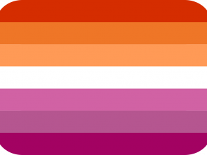 Lesbian Flag PNG Pic