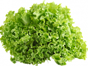 Lettuce PNG