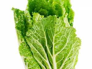 Lettuce PNG Background