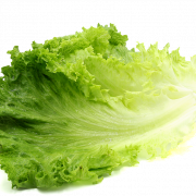 Lettuce PNG File