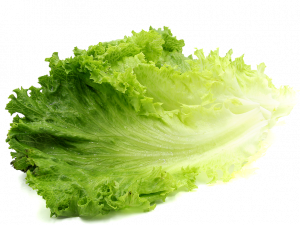 Lettuce PNG File