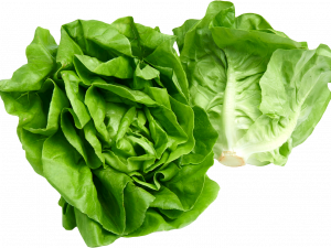 Lettuce PNG Free Image