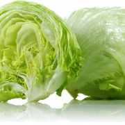 Lettuce PNG Image File