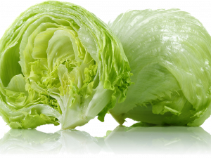 Lettuce PNG Image File