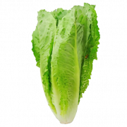 Lettuce PNG Images