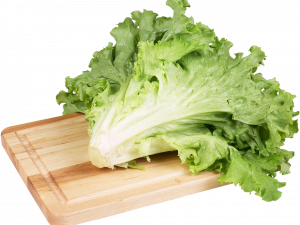 Lettuce PNG Images HD