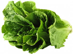 Lettuce PNG Pic