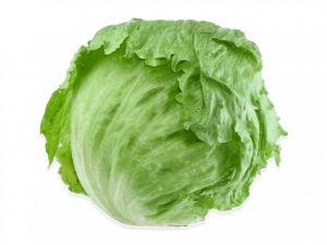 Lettuce PNG Picture