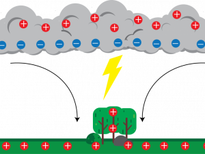 Lightning Strike PNG Photo