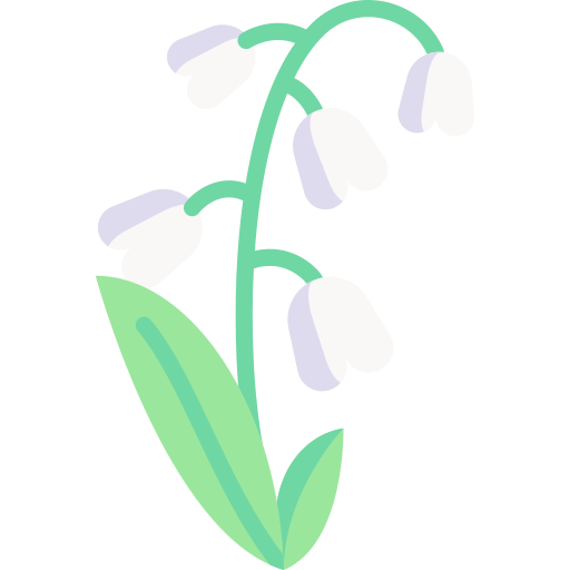 Lily PNG Clipart | PNG All