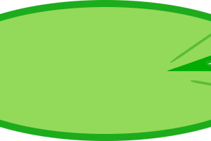 Lily Pad PNG