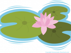 Lily Pad PNG Image