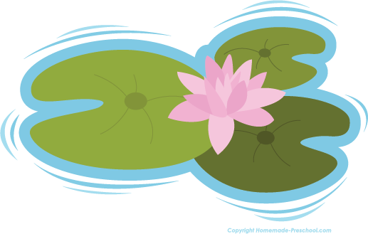 Lily Pad PNG Image