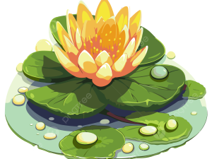 Lily Pad PNG Images