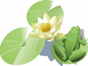 Lily Pad PNG Pic