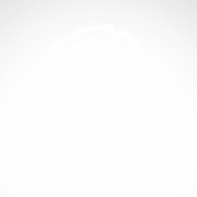 Lion Head PNG File