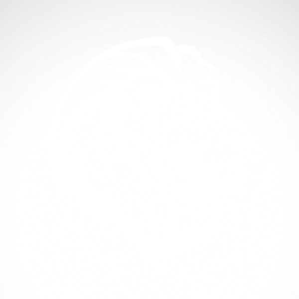 Lion Head PNG File