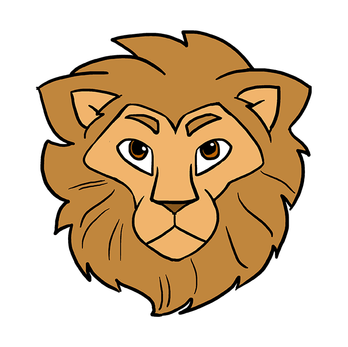 Lion Head PNG Photo