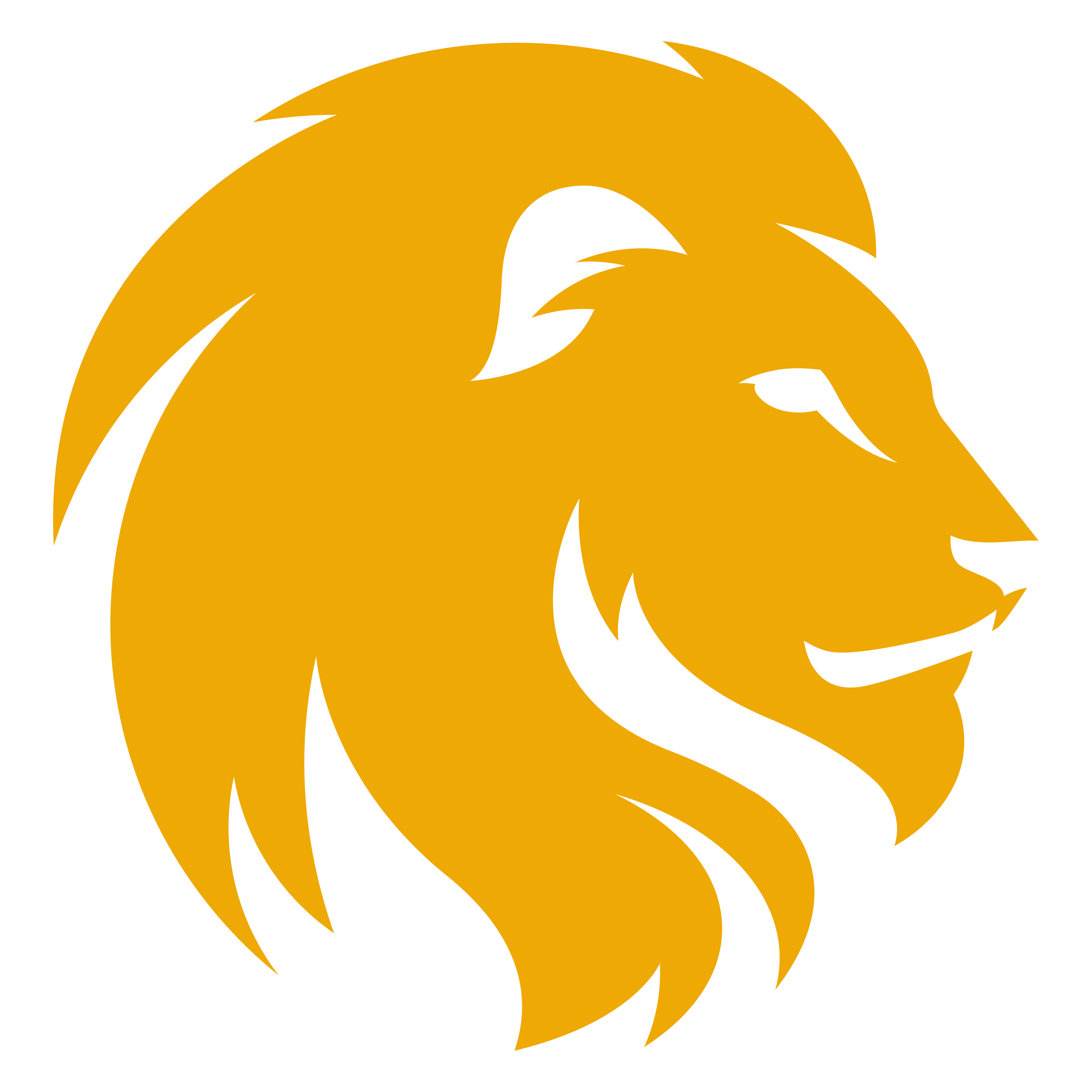 Lion Logo PNG Image | PNG All