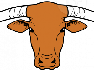 Longhorn