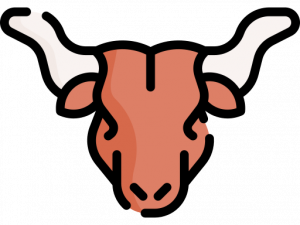 Longhorn PNG Pic