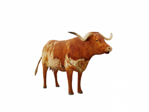 Longhorn PNG Picture