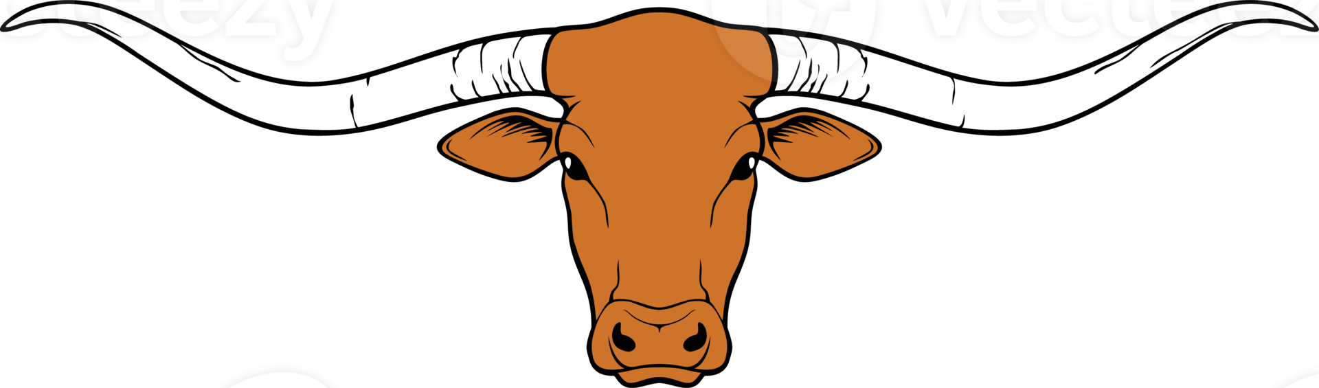 Longhorn