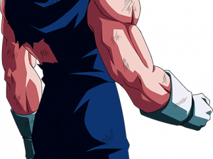 Majin Vegeta No Background