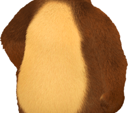 Masha And The Bear PNG Clipart