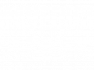 Maverick Logo PNG Photo