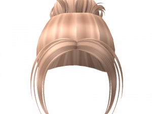 Messy Bun PNG File