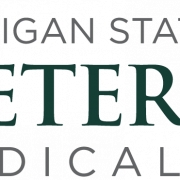 Michigan State Logo PNG File