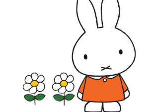 Miffy No Background