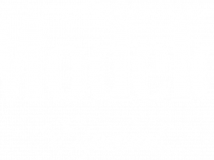 Modelo Logo