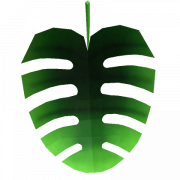 Monstera Leaf PNG Clipart