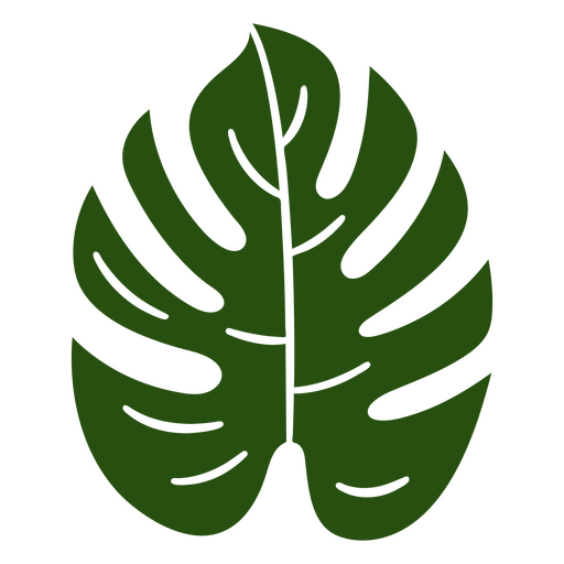 Monstera Leaf PNG Cutout