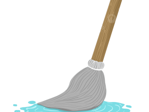 Mop Transparent