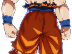 Mui Goku PNG Pic