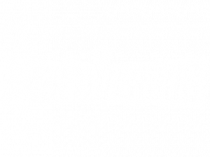 Multiversus PNG Images