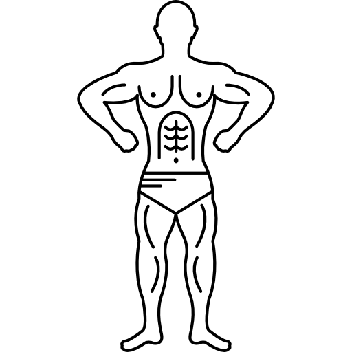 Muscular PNG Clipart