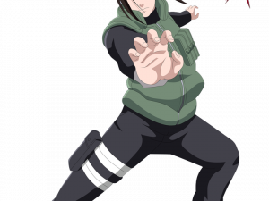 Neji Transparent