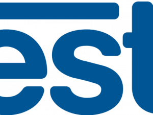 Nestle Logo PNG